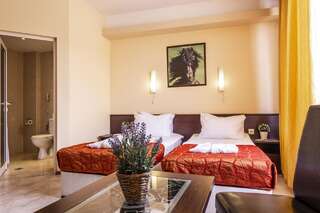 Отель Termo Hotel Aspa Vila Баня Двухместный номер с 1 кроватью или 2 отдельными кроватями без балкона-4